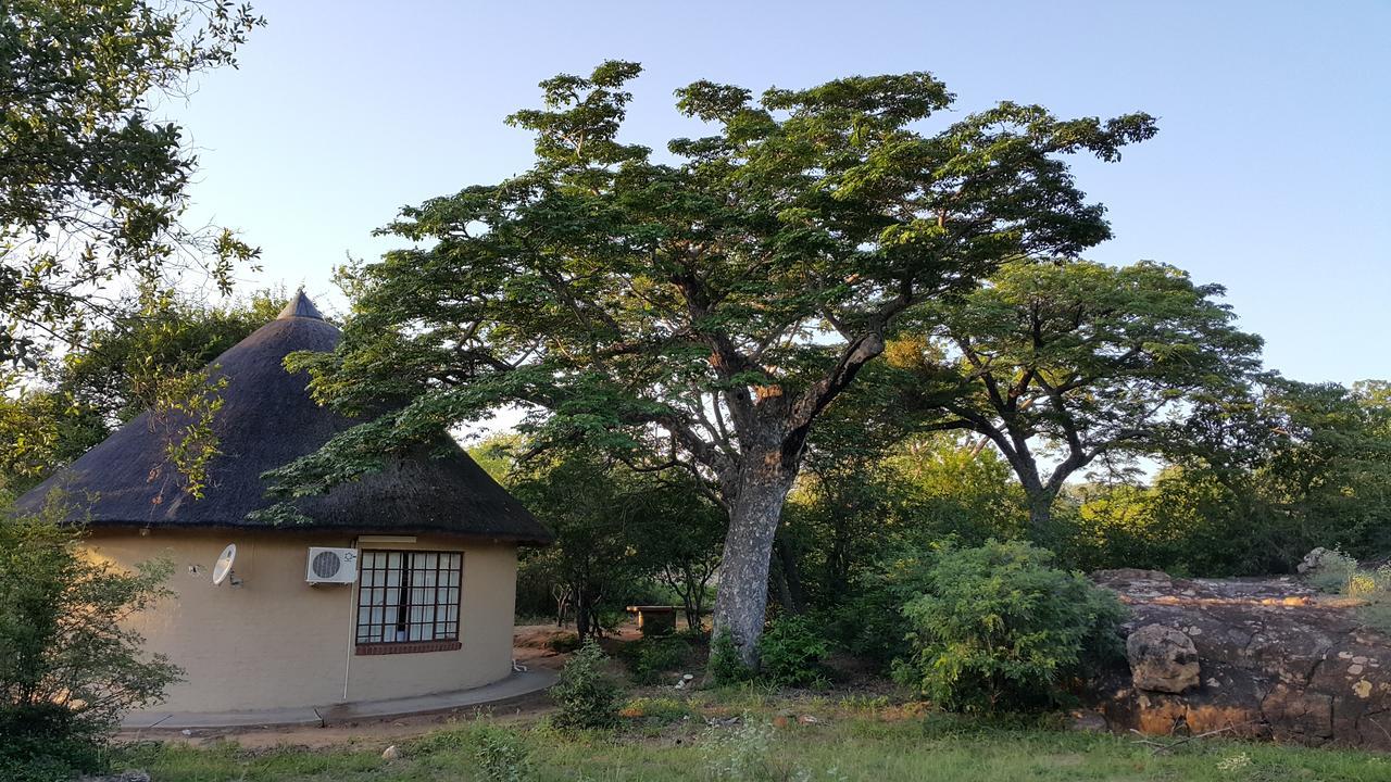 Awelani Lodge Masisi 外观 照片