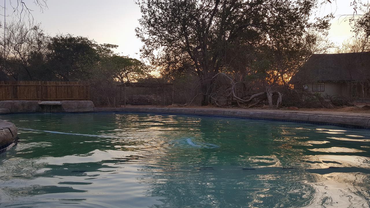 Awelani Lodge Masisi 外观 照片